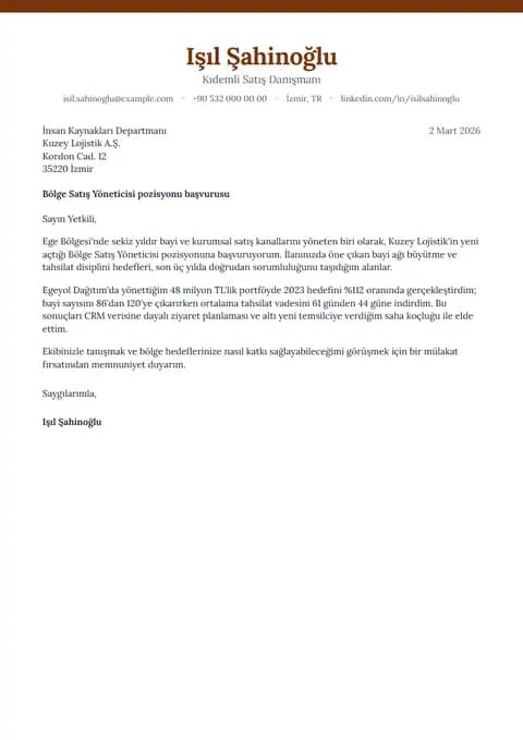 Pyrite ön yazı şablonunun örnek içerikli önizlemesi